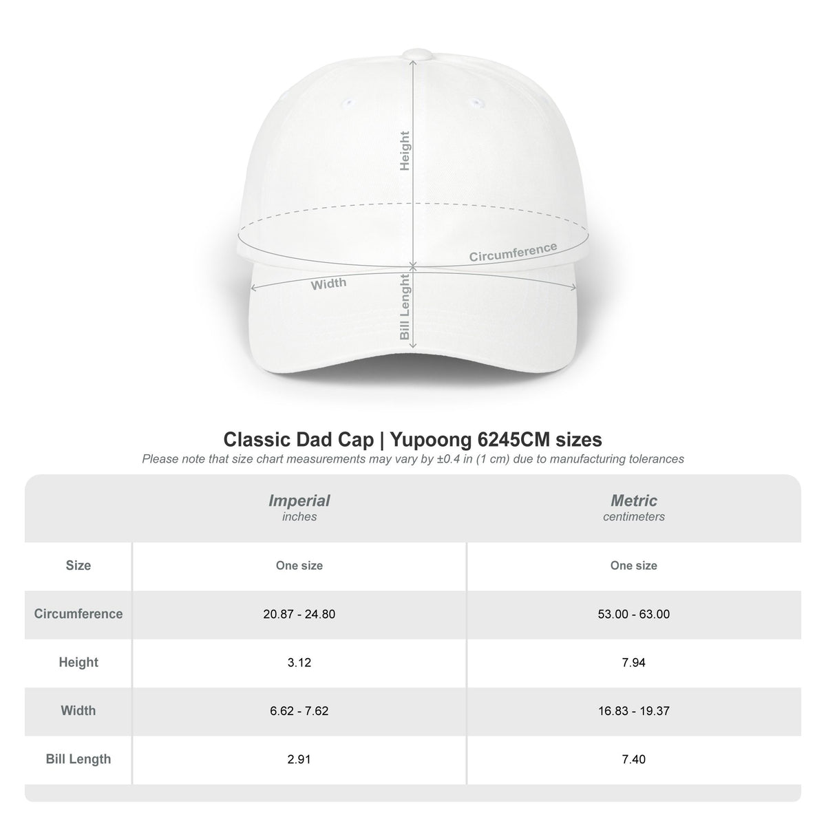 Dad Cap — 'Underlying Logic' Brain Character Dad Hat